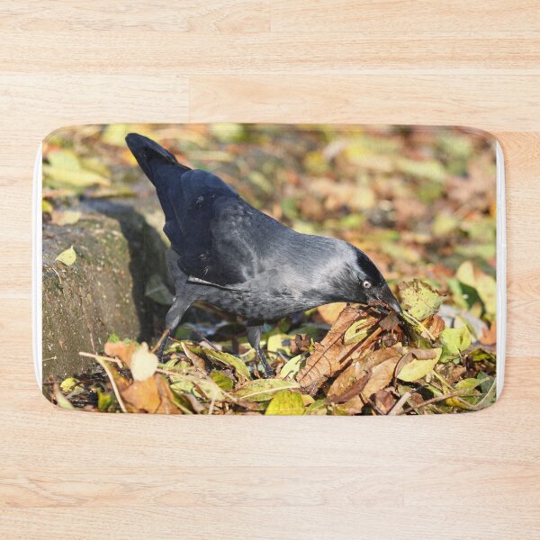Item preview, Foraging in the leaf litter designed and sold by GreyFeatherPhot.
