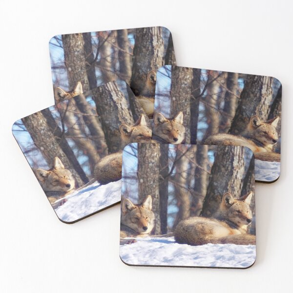 Item preview, Coyotes designed and sold by Yannik Hay.