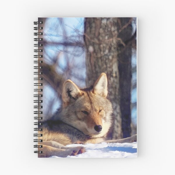 Item preview, Coyotes designed and sold by Yannik Hay.