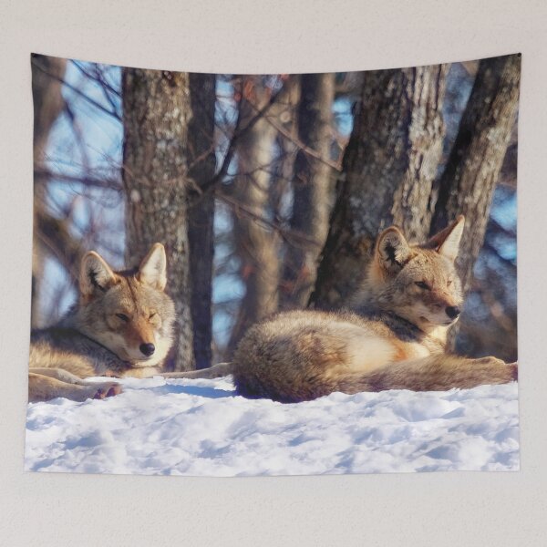 Item preview, Coyotes designed and sold by Yannik Hay.