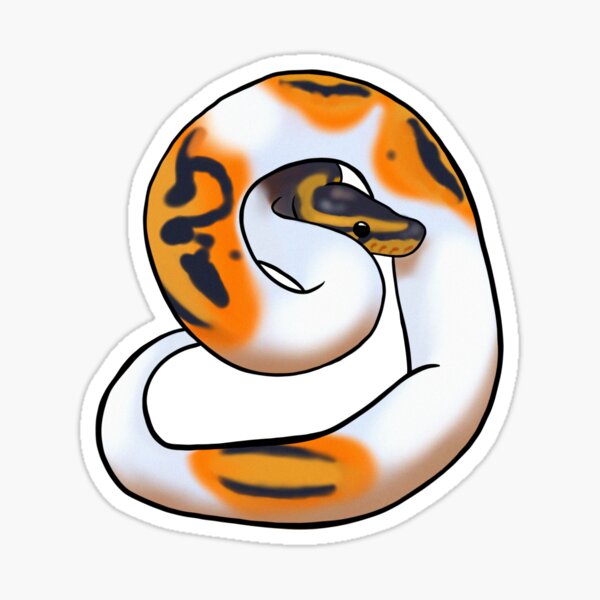 Item preview, Pied Bald Ball Python designed and sold by Celine-Tia.