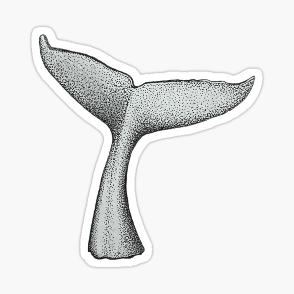 Whale Tail Sticker