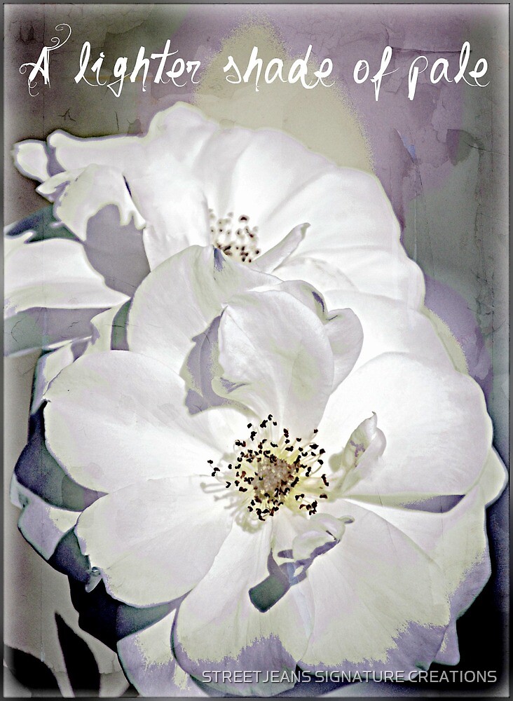 "A Lighter Shade Of Pale" by Anna Larson Redbubble