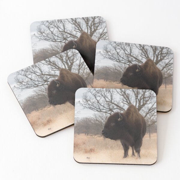Item preview, Grazing American Bison Woolaroc Oklahoma designed and sold by Debra Martz.