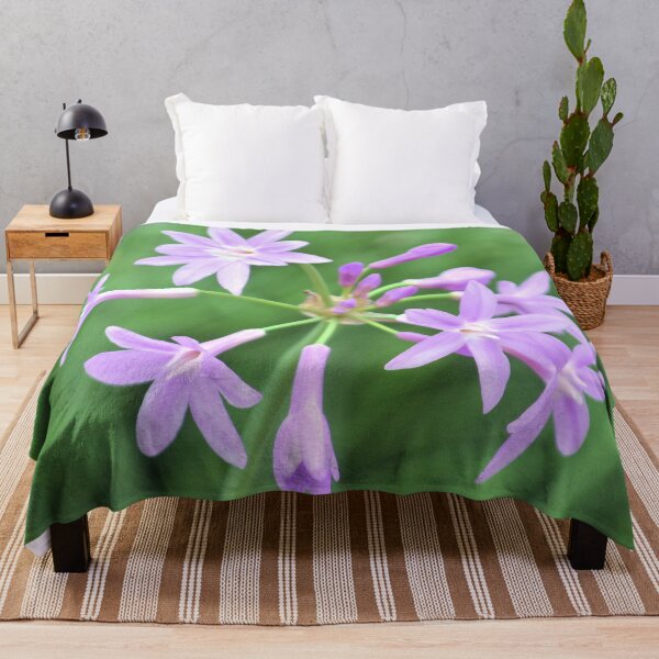 Item preview, Evening Phlox designed and sold by What I See by Dawne.