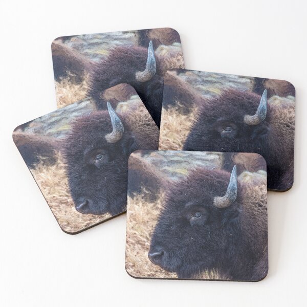 Item preview, American Bison Woolaroc Oklahoma  designed and sold by Debra Martz.