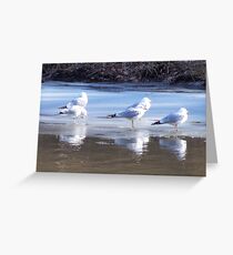 COLDNESS BENEATH Greeting Card