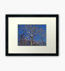 COLDNESS Framed Print