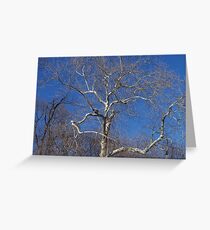 COLDNESS Greeting Card