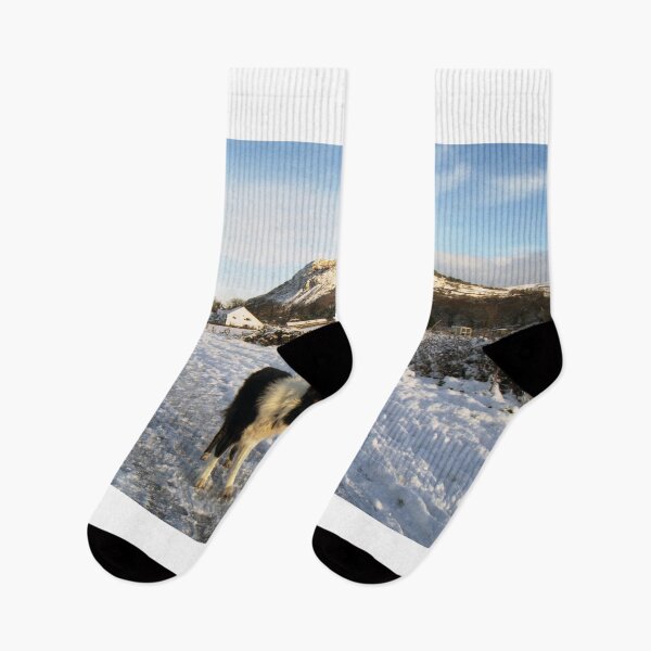 Item preview, Indy in the snow designed and sold by Michael Haslam.
