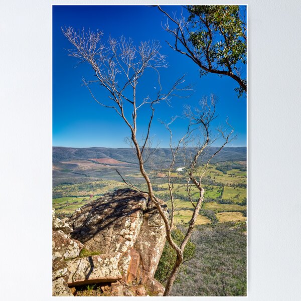 Item preview, Autumn Afternoon at Cathedral Ranges designed and sold by JasonGreen.
