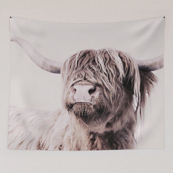 Item preview, HIGHLAND CATTLE FRIDA CREME by Monika Strigel designed and sold by SunlightStudios.