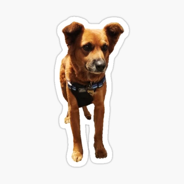 Dixie Dog Palmetto Spaniel Sticker