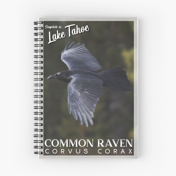 Item preview, Snapshots of Tahoe: Common Raven designed and sold by Tahoe Trail Guide.