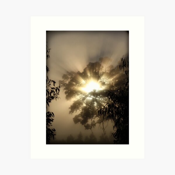 Item preview, ~ A Blazing Haze ~ designed and sold by LeeoPhotography.