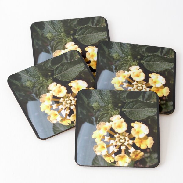 Item preview, buttery designed and sold by rainingcrow.