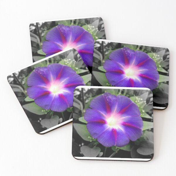 Item preview, morning glory designed and sold by rainingcrow.