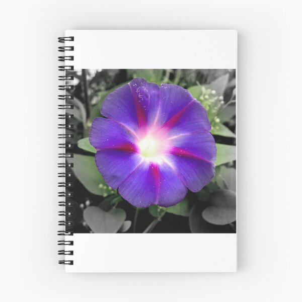 Item preview, morning glory designed and sold by rainingcrow.