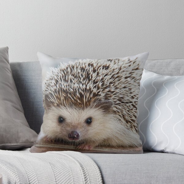 Item preview, Hedgehog designed and sold by BMS320.