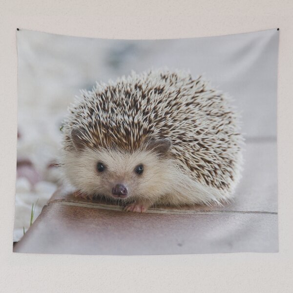 Item preview, Hedgehog designed and sold by BMS320.