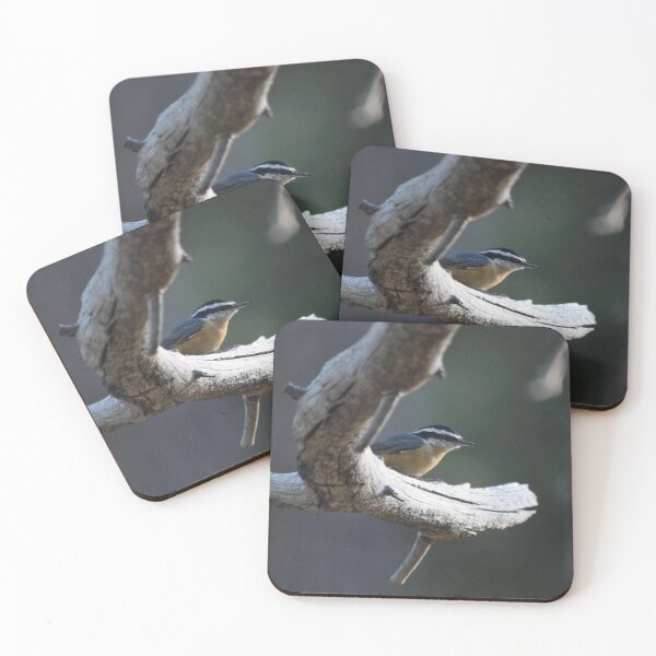 Item preview, Red-Breasted Nuthatch Perched on a Branch designed and sold by Tahoe Trail Guide.
