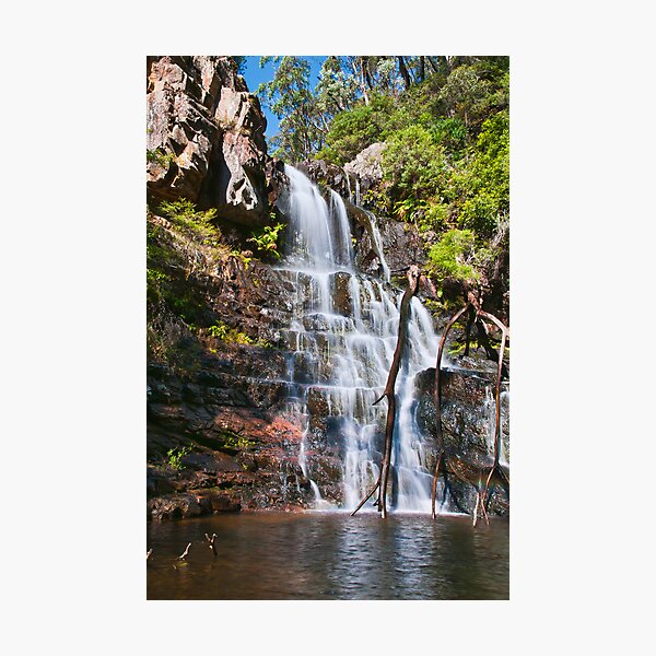 Item preview, Early Morning Cascades of Kalang Falls designed and sold by Chris  Randall.