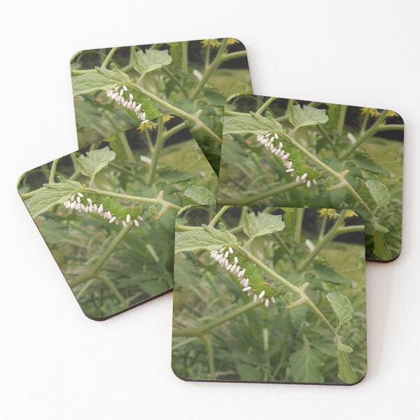 Item preview, The balance of nature without pesticides designed and sold by TheLazyFarmer.