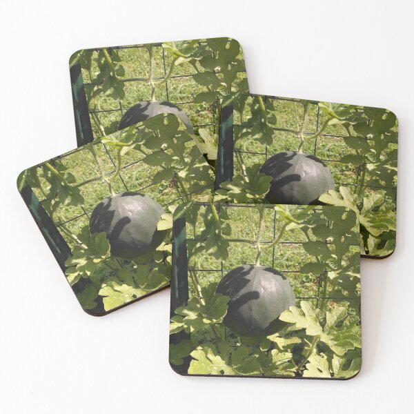 Item preview, Melon on cattle fence designed and sold by TheLazyFarmer.