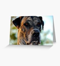 Tiny Greeting Card