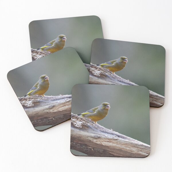 Item preview, Gentle backlight. European greenfinch designed and sold by Jouko Lehto Photography.