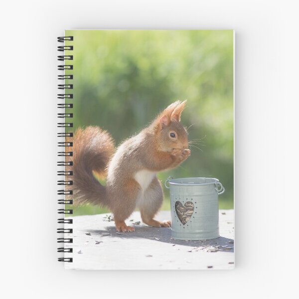 Item preview, Squirrel and little heart designed and sold by VBMatossy.