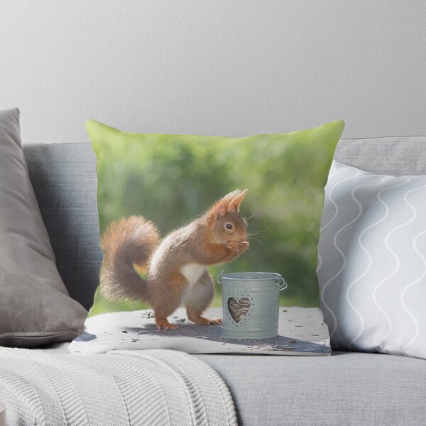 Item preview, Squirrel and little heart designed and sold by VBMatossy.