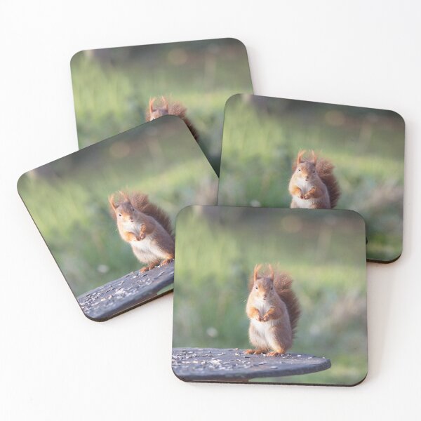 Item preview, Red squirrel in winter designed and sold by VBMatossy.