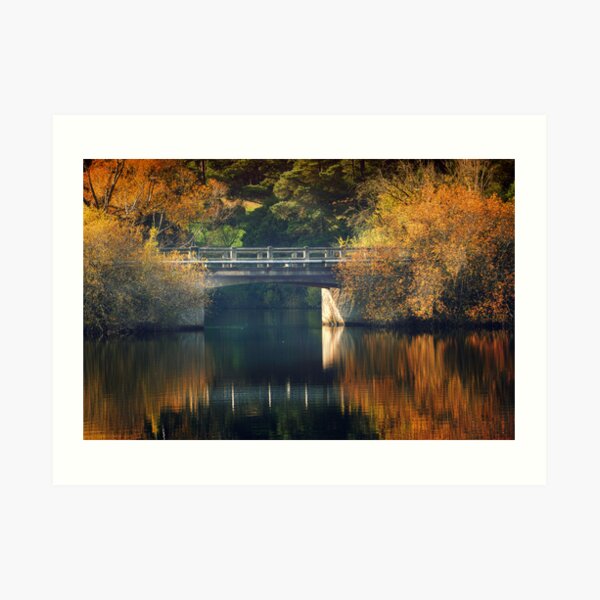 Autumn Fire Art Print