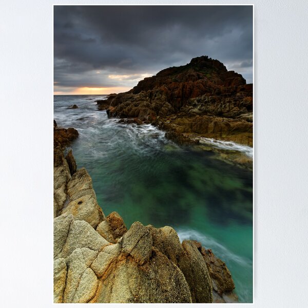 Item preview, Moody Mimosa Morning  designed and sold by Robert Mullner.