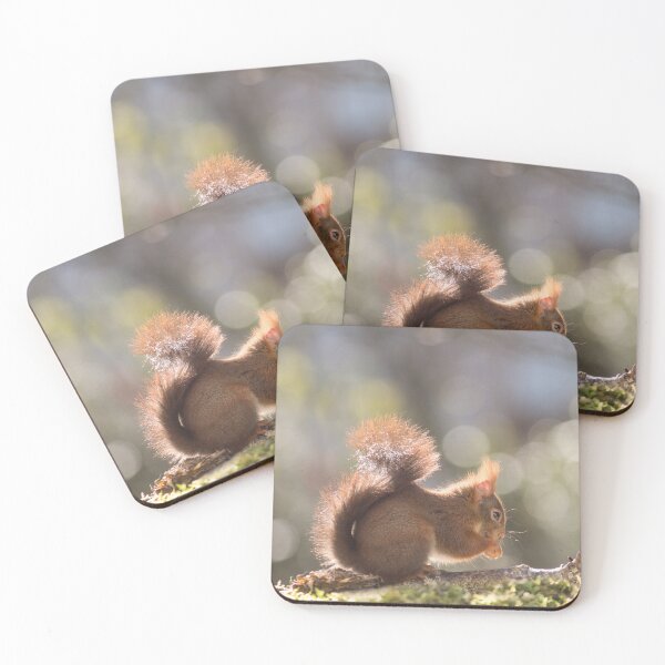 Item preview, Red squirrel in the light designed and sold by VBMatossy.