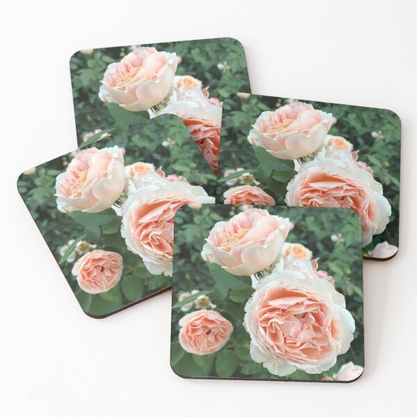 Item preview, Pink Rose Flower Garden designed and sold by newburyboutique.