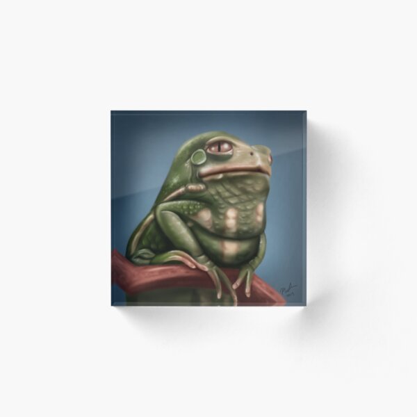 Grumpy Frog Acrylic Block