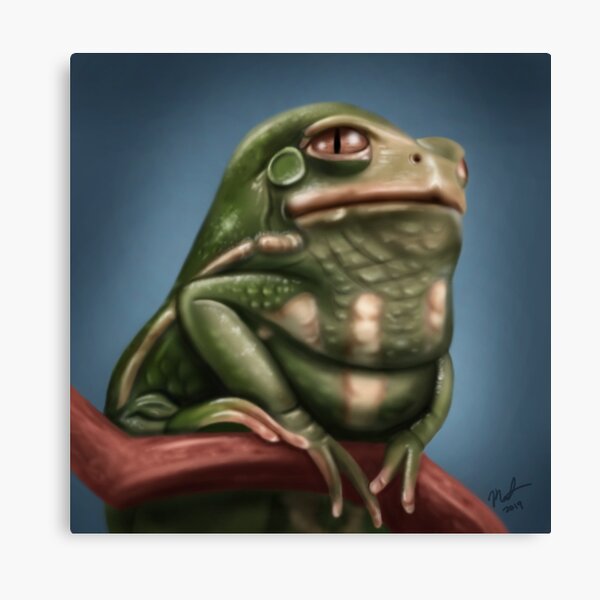 Grumpy Frog Canvas Print