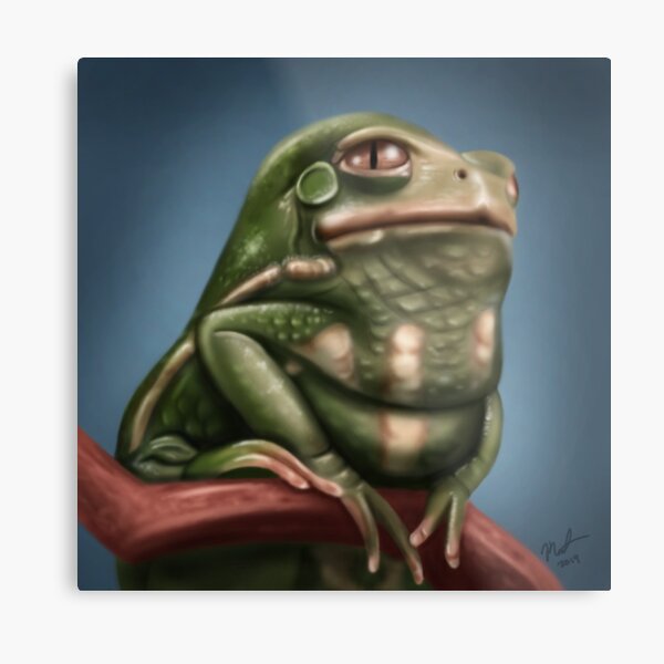 Grumpy Frog Metal Print