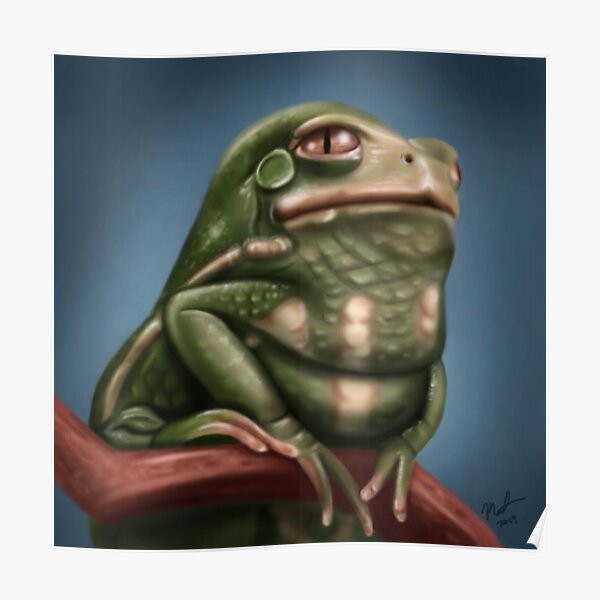 Grumpy Frog Poster