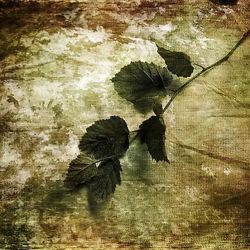 Imagen de la obra A Little Nature de Randi Grace Nilsberg