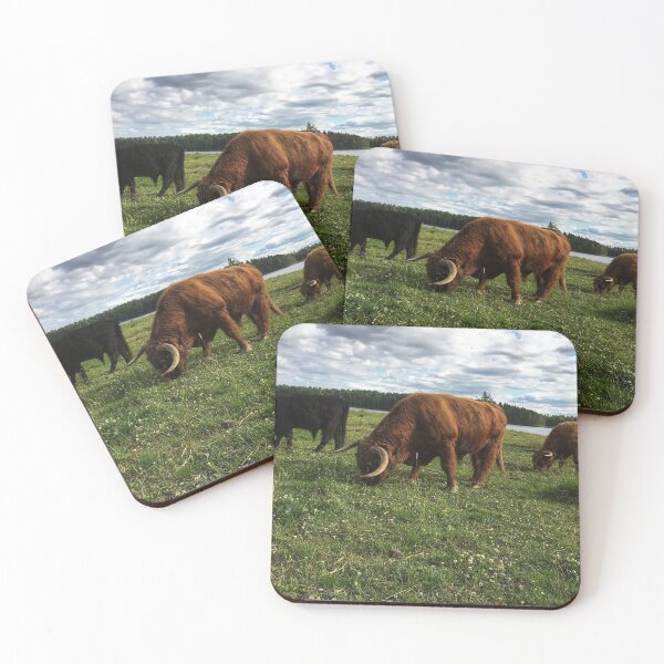 Item preview, Scottish Highland Cattle Bulls 1788 designed and sold by SaarelaHighland.