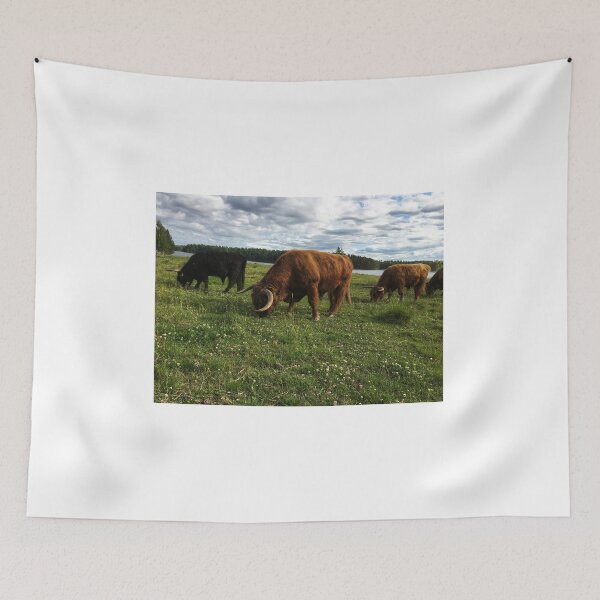 Item preview, Scottish Highland Cattle Bulls 1788 designed and sold by SaarelaHighland.