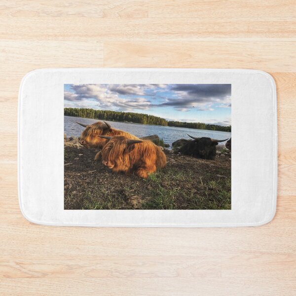 Item preview, Scottish Highland Cattle Bulls 1790 designed and sold by SaarelaHighland.