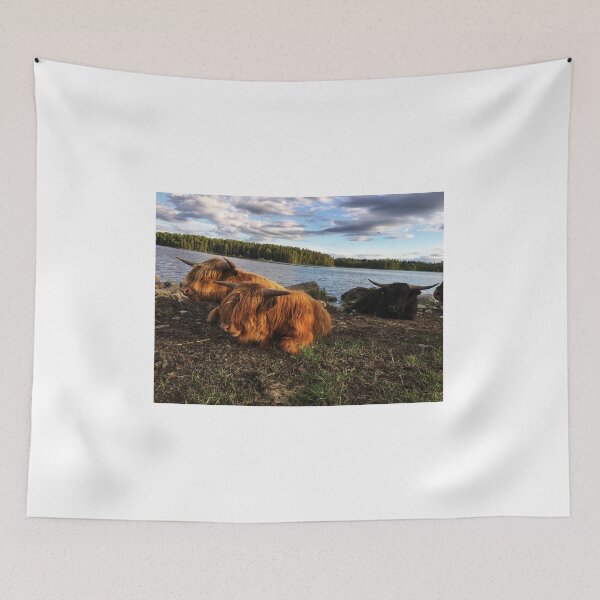 Item preview, Scottish Highland Cattle Bulls 1790 designed and sold by SaarelaHighland.