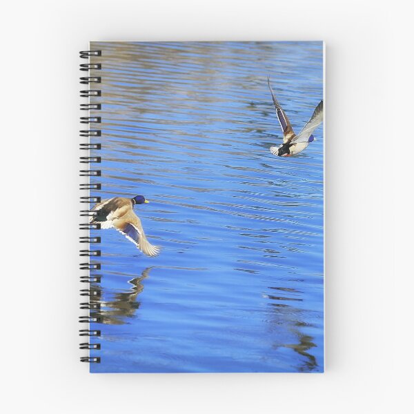 Item preview, Mallard Duck Couple Taking Flight designed and sold by Yannik Hay.