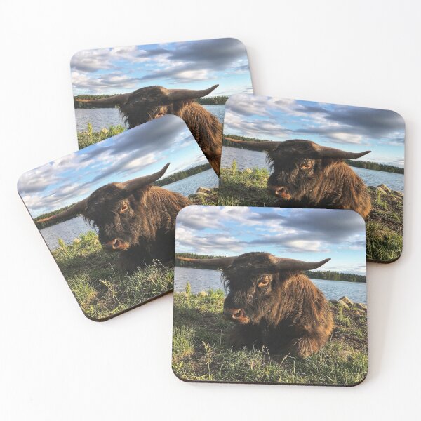 Item preview, Scottish Highland Cattle Bull 1791 designed and sold by SaarelaHighland.