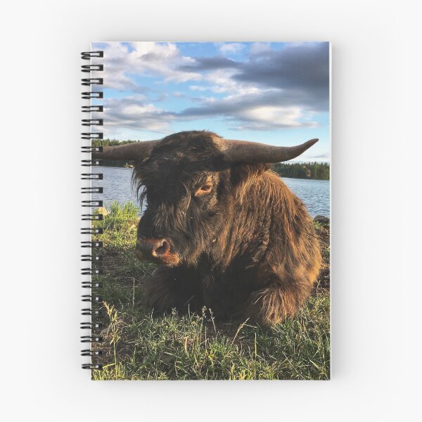 Item preview, Scottish Highland Cattle Bull 1791 designed and sold by SaarelaHighland.