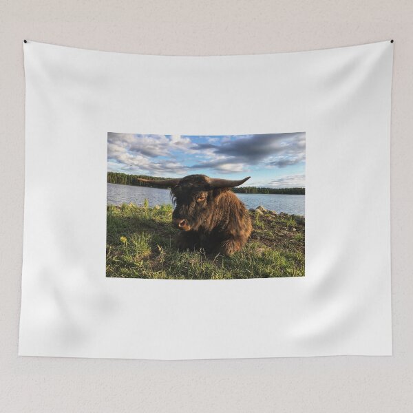 Item preview, Scottish Highland Cattle Bull 1791 designed and sold by SaarelaHighland.